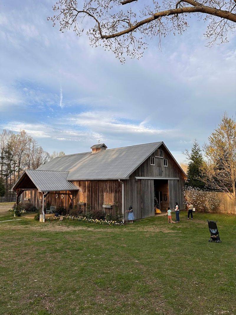 The Barn, the Ponds, and the Natural Landscape The Barn, the Ponds, and the Natural Landscape