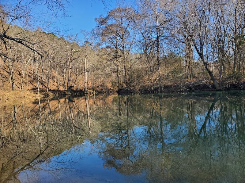 The Base Trail: A Quieter Kind of Beautiful