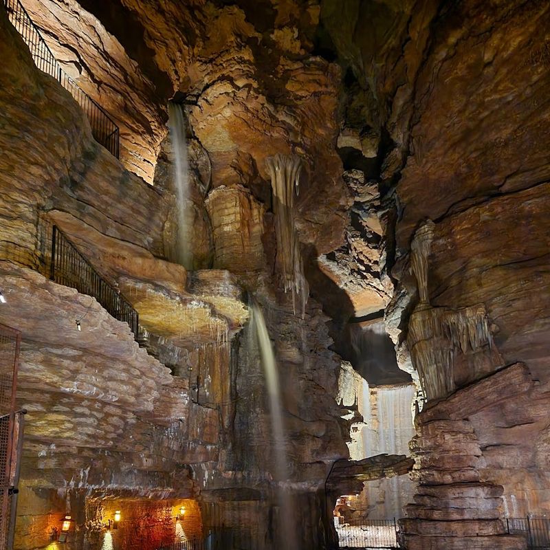 The Bat Bar: Cold Drinks in the Most Unexpected Place on Earth