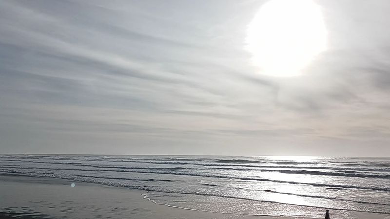 The Beach Itself Is Worth Your Time