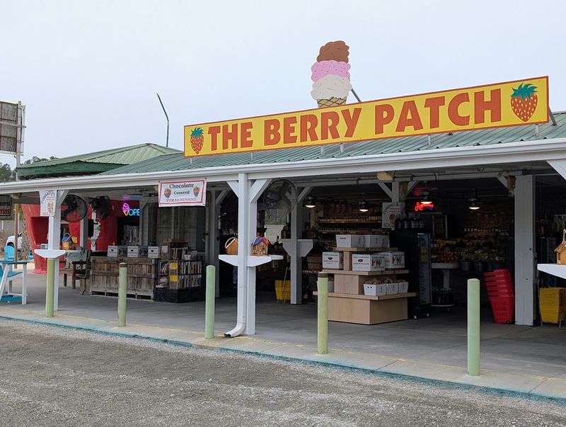 The Berry Patch, Ellerbe