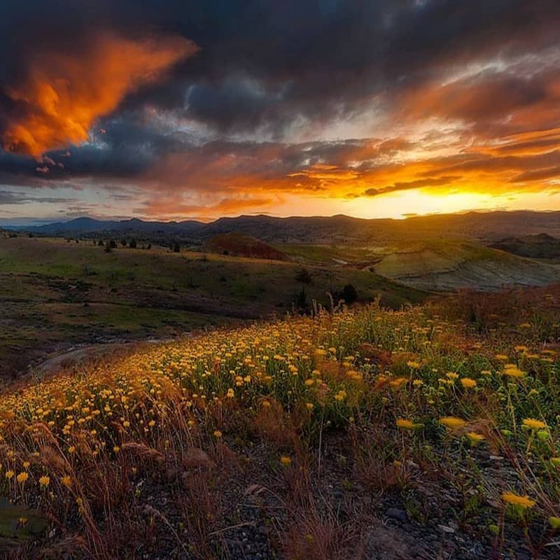 The Best Time of Day and Year to Visit The Best Time of Day and Year to Visit