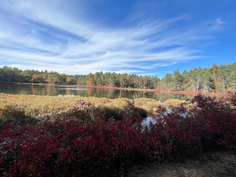 The Best Time to Visit and How to Plan Ahead The Best Time to Visit and How to Plan Ahead