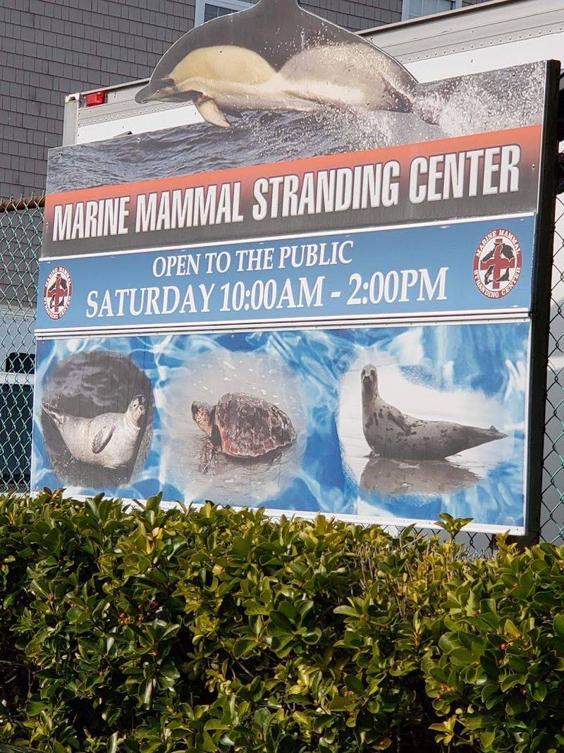 The Bigger Picture: What the Center Means for the Jersey Shore The Bigger Picture: What the Center Means for the Jersey Shore