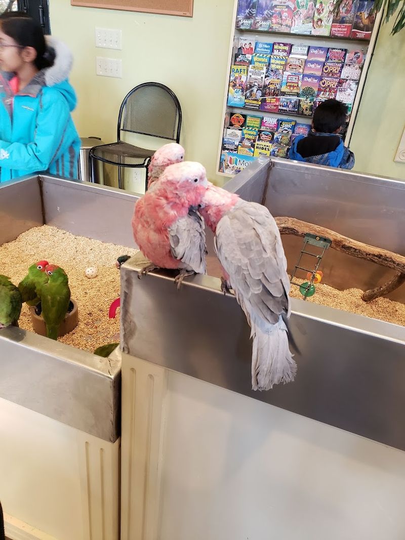 The Bird Nursery and What Happens Inside The Bird Nursery and What Happens Inside