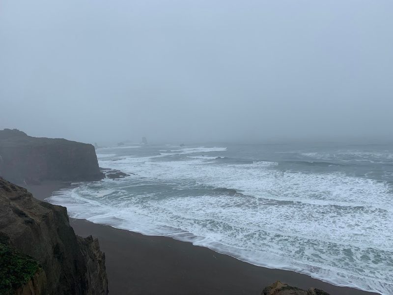 The Black Sand Beach: A Geological Rarity on the Oregon Coast The Black Sand Beach: A Geological Rarity on the Oregon Coast