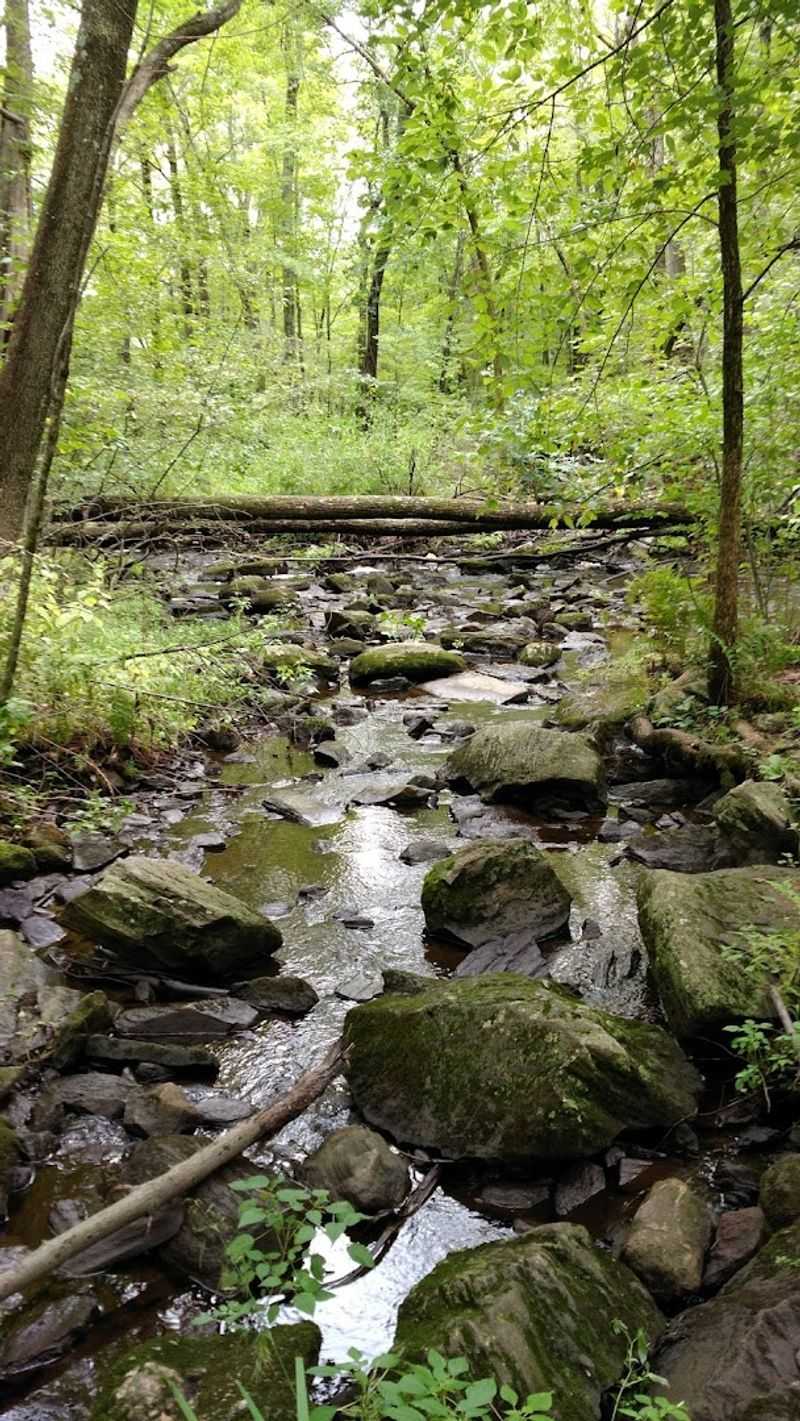 The Blackstone River Watershed Connection