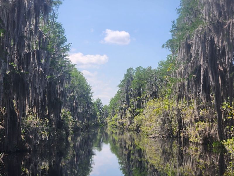 The Blackwater Canal System That Defines This Place The Blackwater Canal System That Defines This Place
