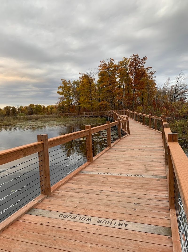 The Boardwalk Over the Wetlands The Boardwalk Over the Wetlands