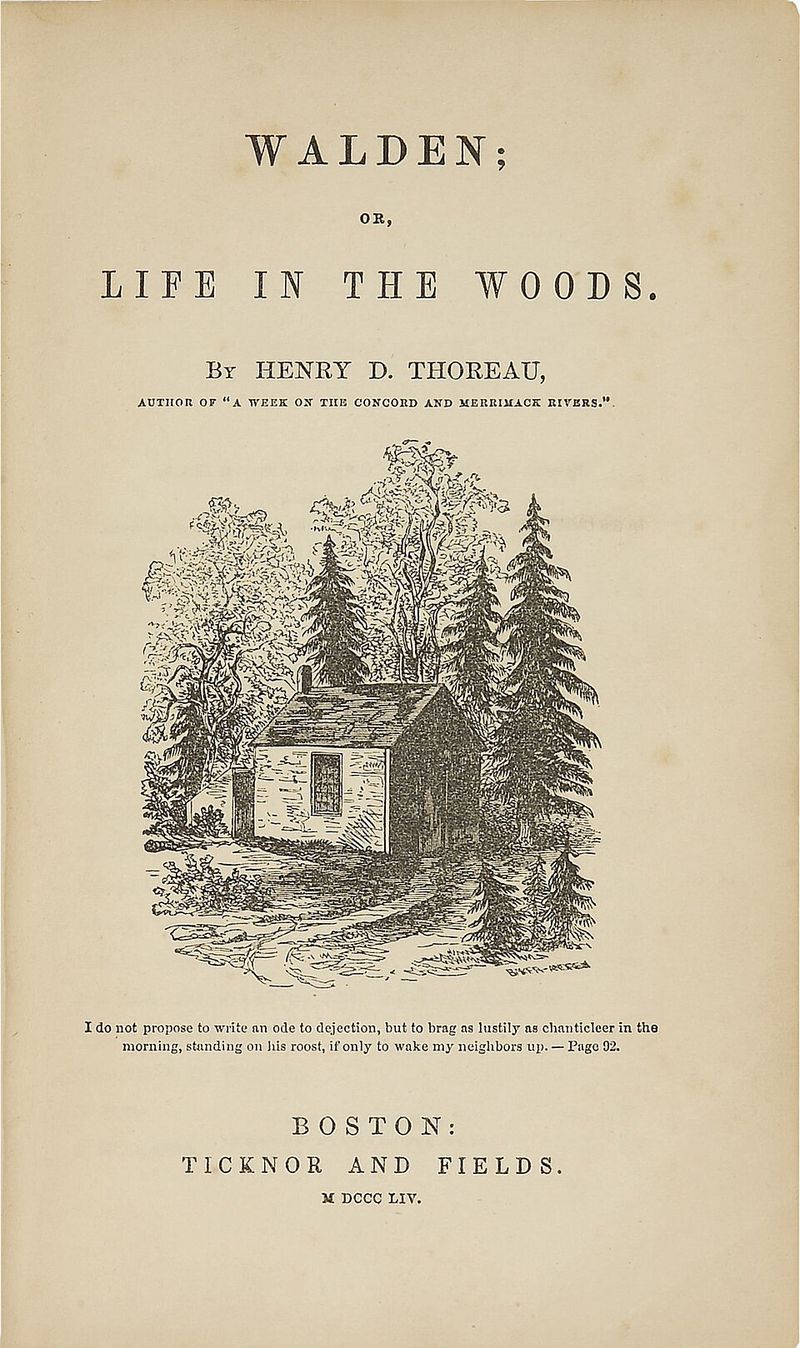 The Book That Came Out Of The Woods The Book That Came Out Of The Woods