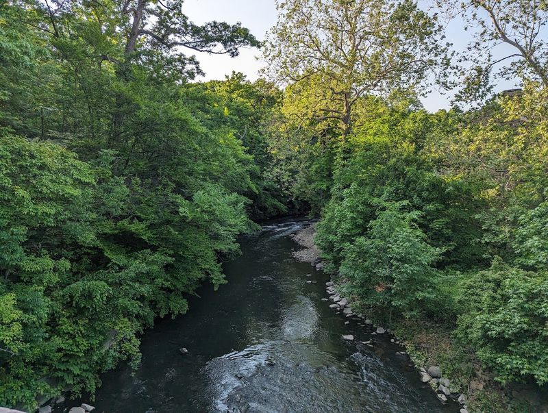 The Bronx River Runs Right Through It