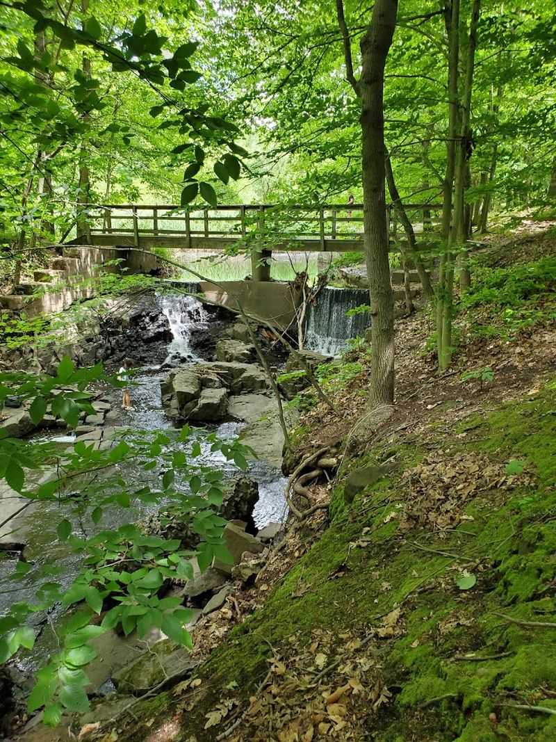 The Brook and the Waterfall Worth the Walk