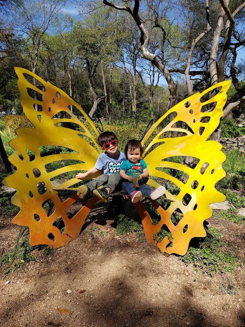 The Butterfly Garden and Its Unexpected Wildlife