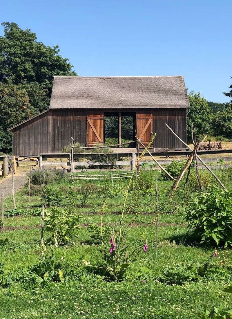 The Butteville Store and Nearby Exploration
