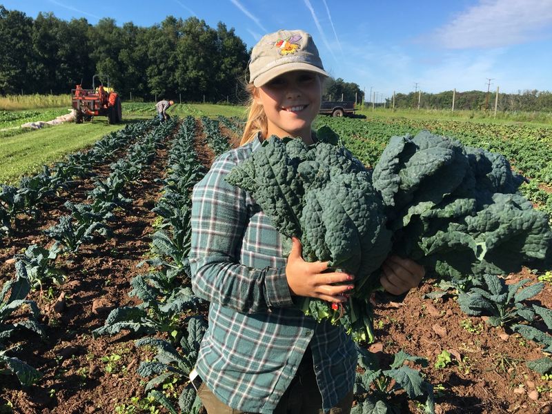 The CSA Program That Keeps Families Coming Back Year After Year The CSA Program That Keeps Families Coming Back Year After Year