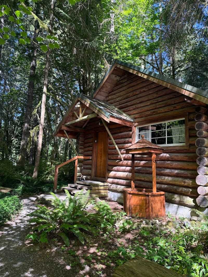 The Cabins That Complete the Picture The Cabins That Complete the Picture