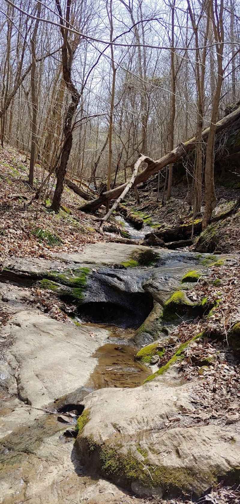 The Canyon Floor: Creek Crossings and Rocky Terrain The Canyon Floor: Creek Crossings and Rocky Terrain
