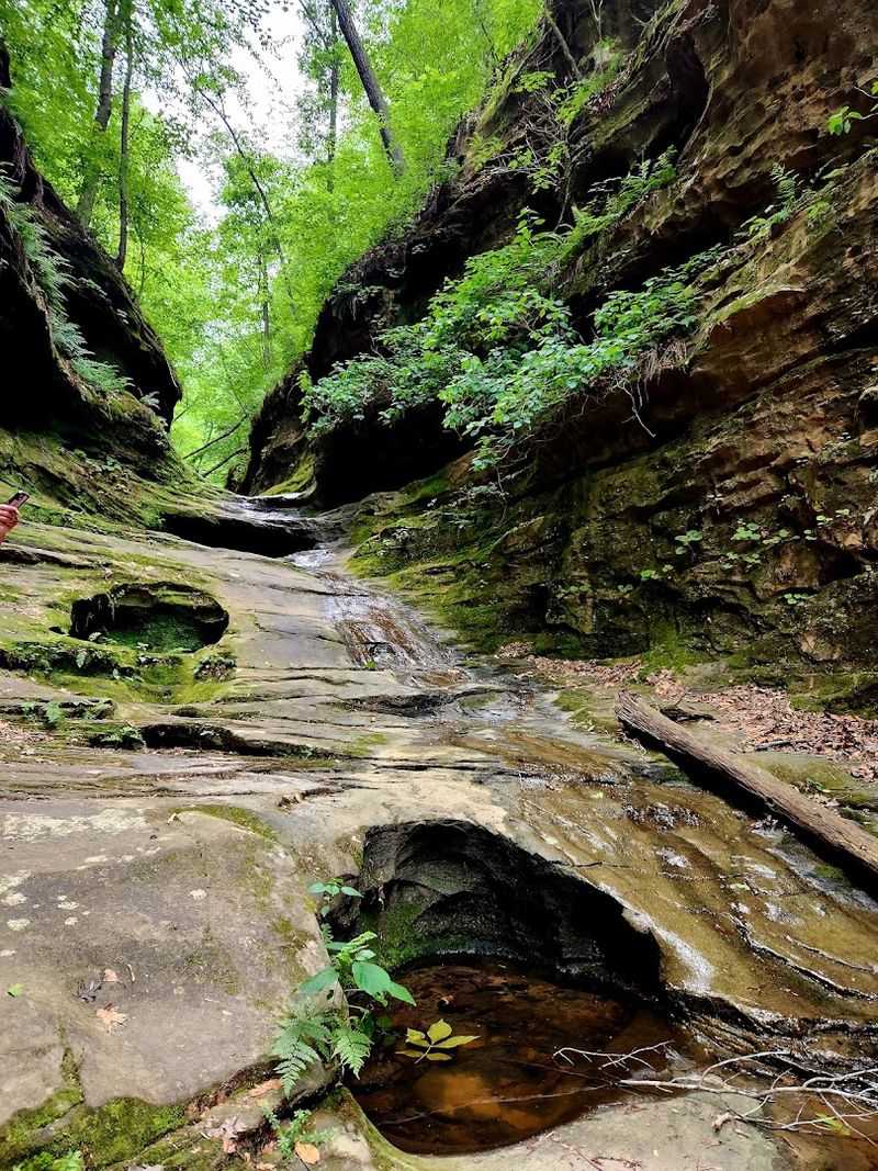 The Canyon Itself: Sandstone Walls and Ancient Geology The Canyon Itself: Sandstone Walls and Ancient Geology