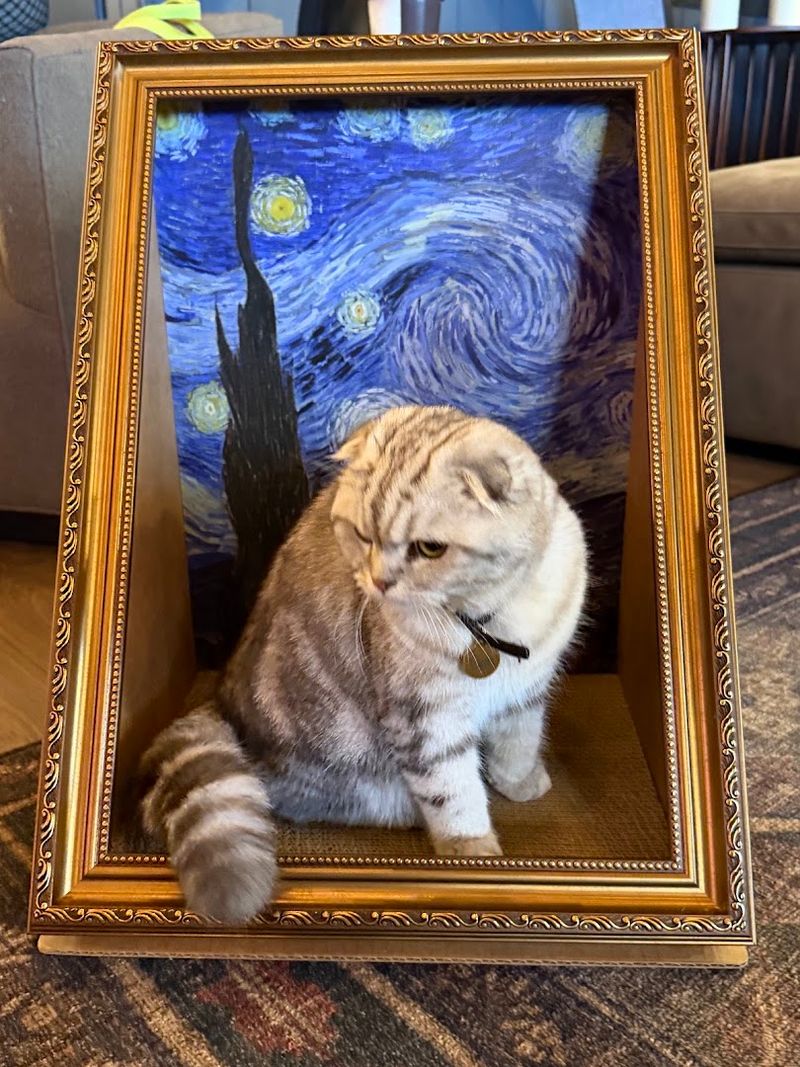 The Cat-Themed Décor Throughout the Space The Cat-Themed Décor Throughout the Space