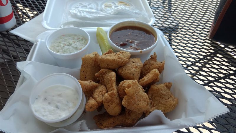 The Catfish Bites That Win Over the Skeptics