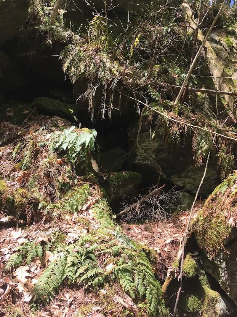 The Caves Along the Trail