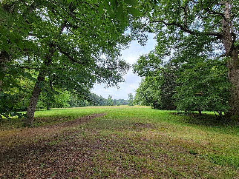 The Ceremonial Field At The Heart Of The Site The Ceremonial Field At The Heart Of The Site