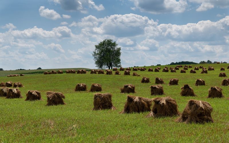 The Charm of Slow Travel in Holmes County The Charm of Slow Travel in Holmes County