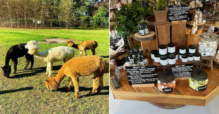 The Charming New Jersey Outing That Pairs Fresh Coffee With Animals and Handmade Goods
