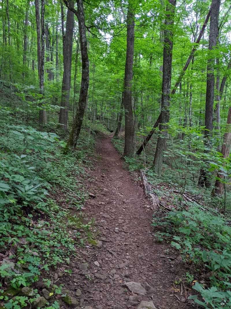 The Climb Gets Real: Miles One Through Two
