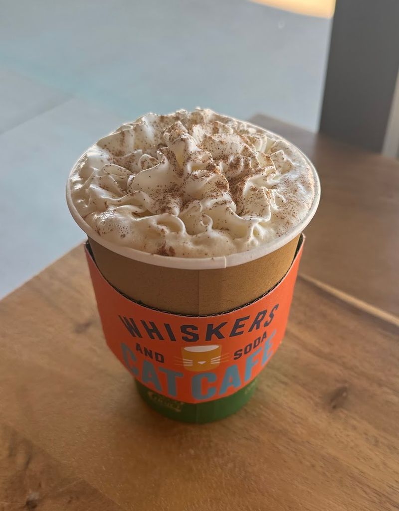 The Coffee and Drinks Menu