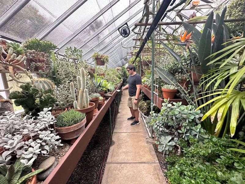 The Conservatory Surprise: Tropics and Desert Under One Glass Roof