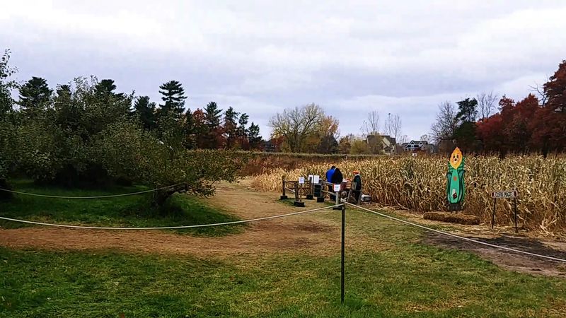 The Corn Maze and Pumpkin Patch The Corn Maze and Pumpkin Patch
