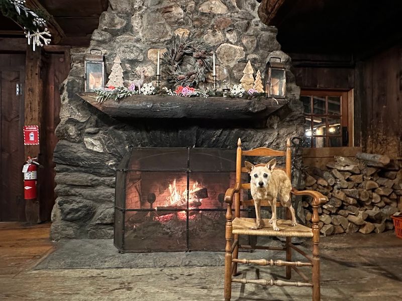 The Cozy Pub Down on the Ground Level