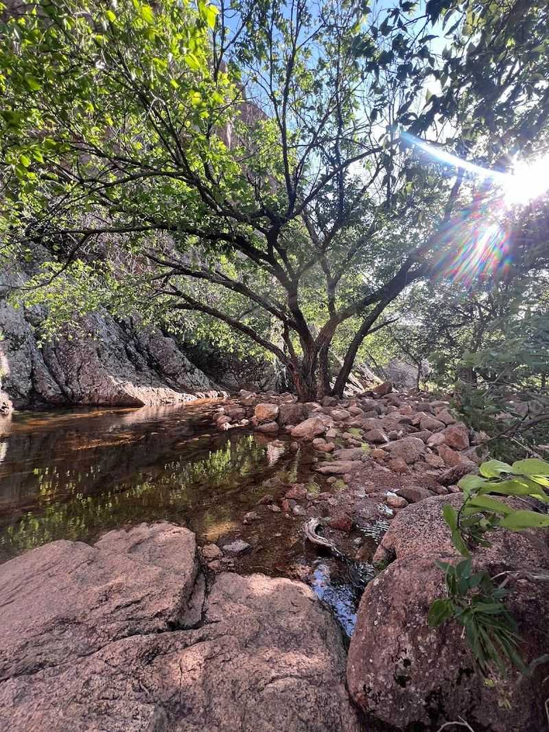 The Creek at the Bottom: A Moment Worth Every Step The Creek at the Bottom: A Moment Worth Every Step