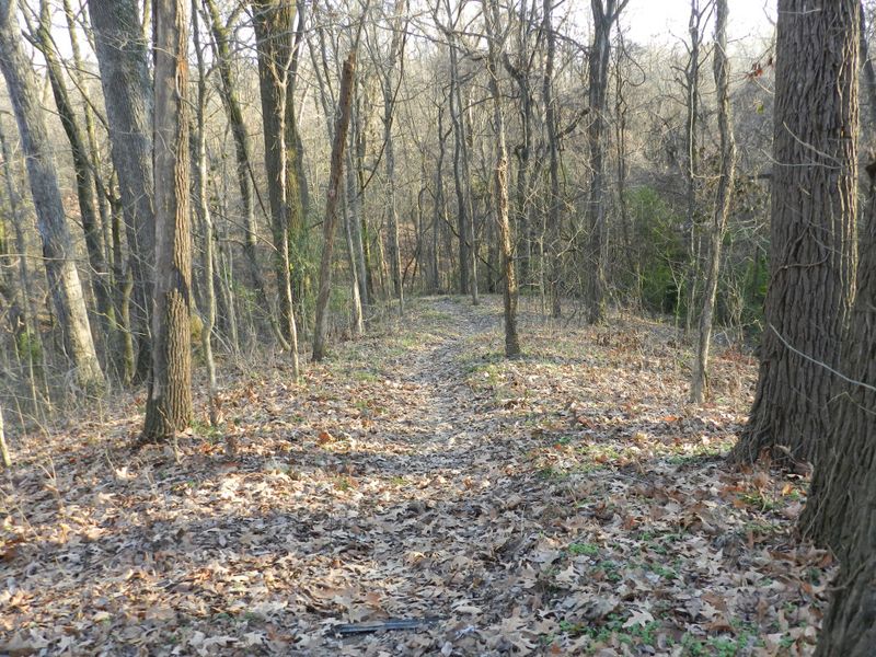 The Discovery Trail and Its Connection to the Mounds The Discovery Trail and Its Connection to the Mounds