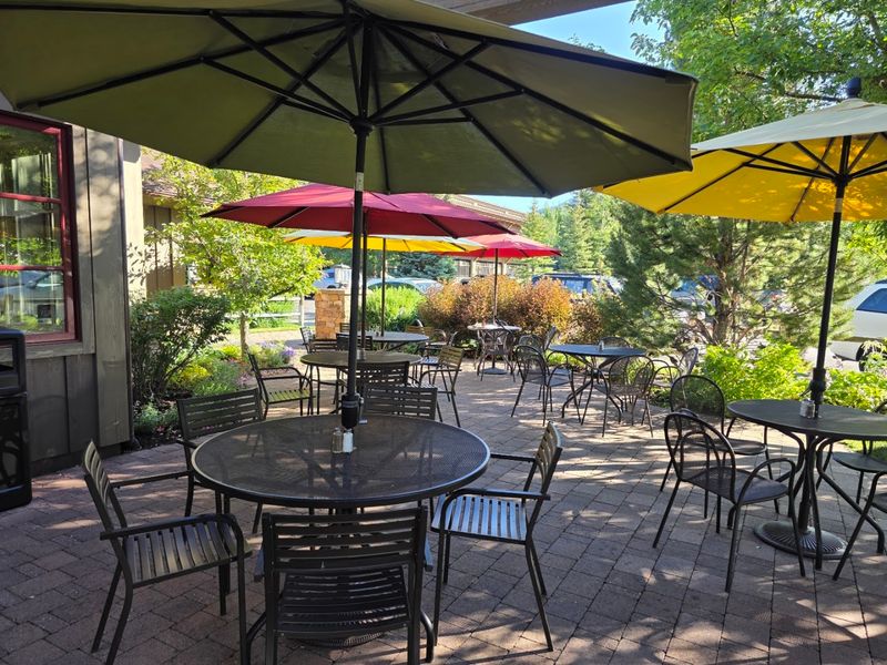 The Dog-Friendly Patio With Bald Mountain Views The Dog-Friendly Patio With Bald Mountain Views