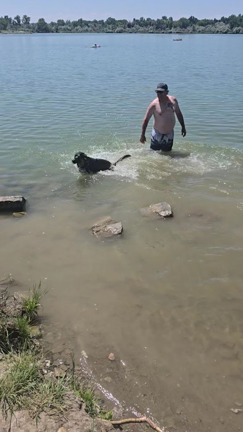 The Dog Park That Actually Has Its Own Lake Access The Dog Park That Actually Has Its Own Lake Access