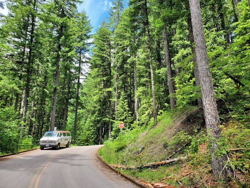 The Drive In and What to Expect on the Road