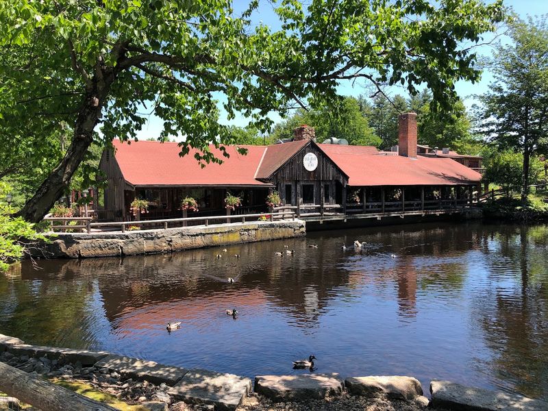 The Duck Pond Everyone Talks About