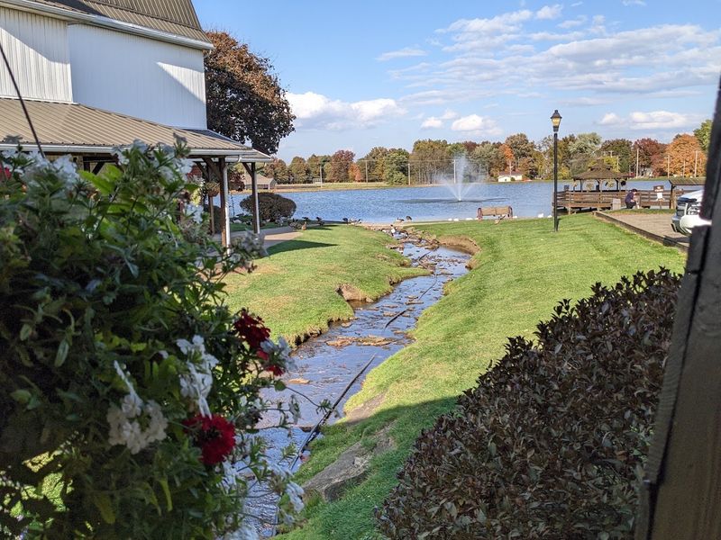 The Duck Pond and Outdoor Grounds The Duck Pond and Outdoor Grounds