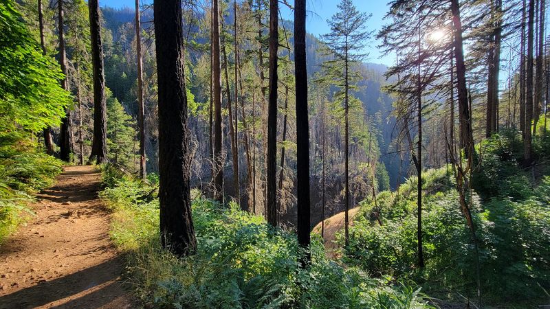 The Eagle Creek Trail Experience The Eagle Creek Trail Experience