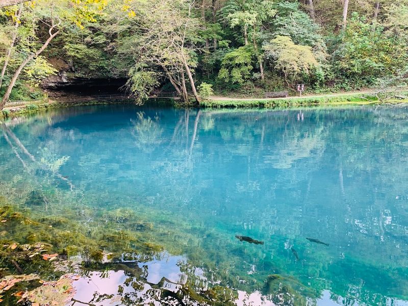 The Electric Blue Water That Stops People In Their Tracks The Electric Blue Water That Stops People In Their Tracks