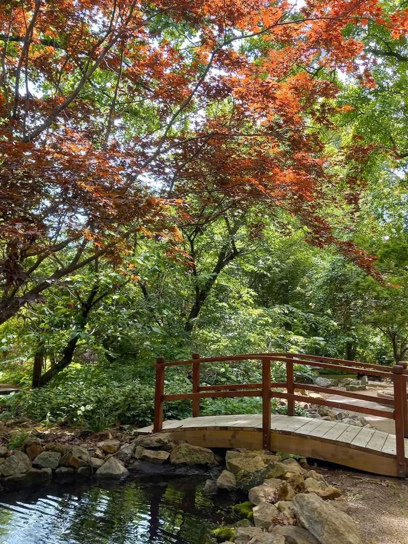 The English and Japanese Gardens: Two Worlds, One Path