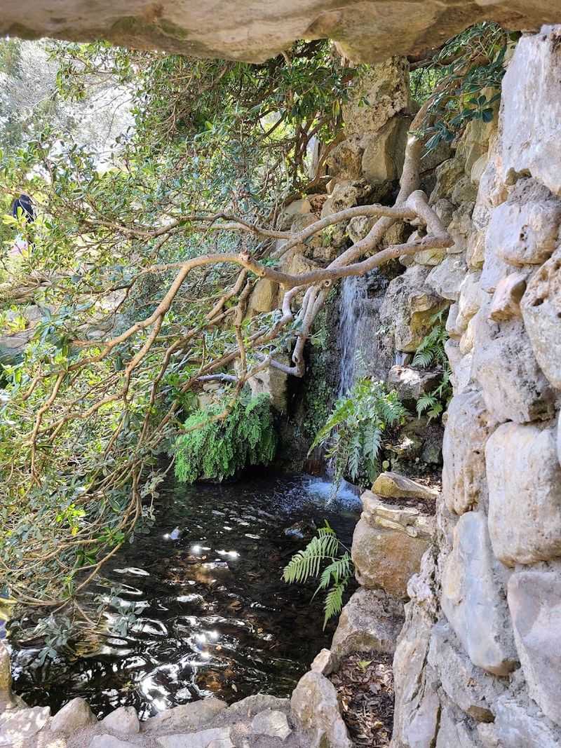 The Escarpment Trail Through the Woods