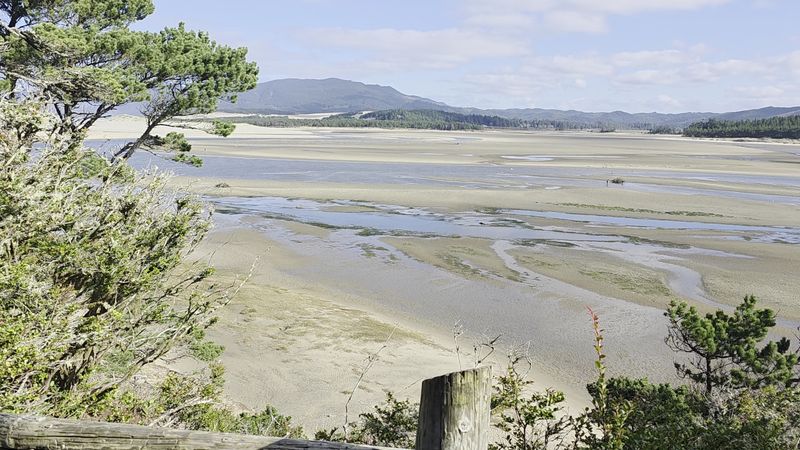 The Estuary Up Close: Mudflats, Ghost Shrimp, and Tidal Life The Estuary Up Close: Mudflats, Ghost Shrimp, and Tidal Life