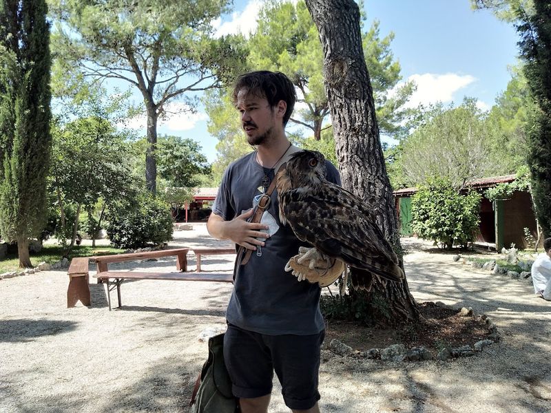The Falconry Centre, Dubrava (Šibenik), Croatia