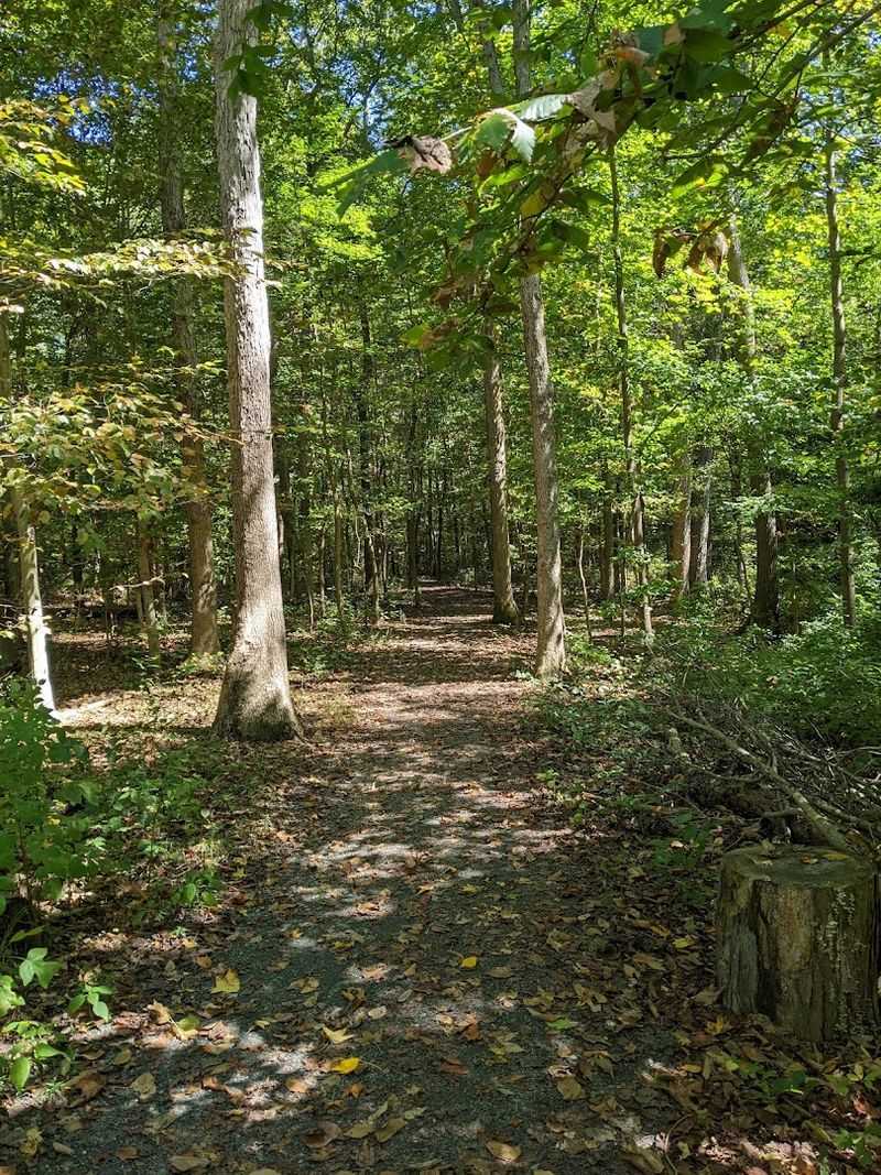 The Family Behind the Forest: A Story of Remarkable Generosity The Family Behind the Forest: A Story of Remarkable Generosity