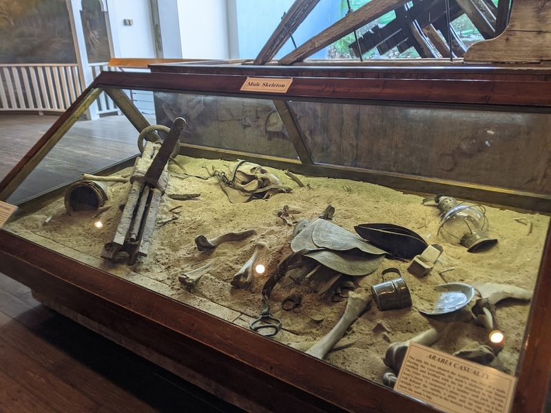 The Incredible Excavation Behind the Museum
