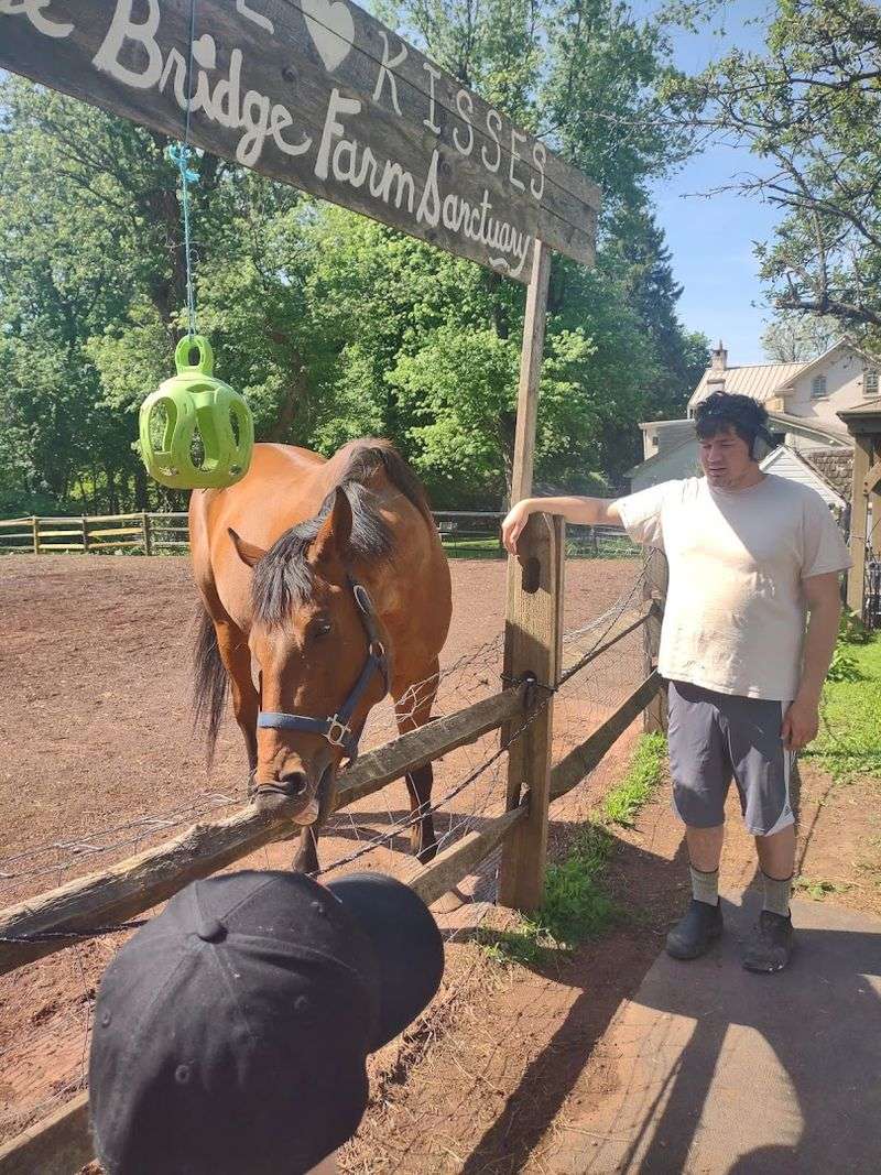 The Farm Animal Husbandry Tour Is the Heart of the Experience The Farm Animal Husbandry Tour Is the Heart of the Experience