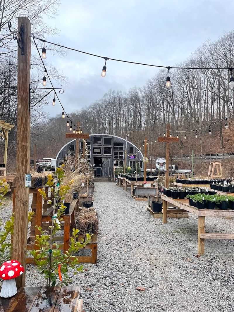 The Farm Setting That Changes Everything The Farm Setting That Changes Everything